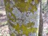 <img100*0:stuff/z/92105/5895/i1293336317_4.jpg>