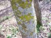 <img100*0:stuff/z/92105/5895/i1293336317_5.jpg>