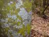 <img100*0:stuff/z/92105/5895/i1293336317_6.jpg>