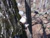<img100*0:stuff/z/92105/5895/i1293347202_1.jpg>