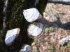 <img100*0:stuff/z/92105/5895/i1293347202_3.jpg>