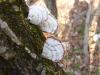 <img100*0:stuff/z/92105/5895/i1293347202_4.jpg>