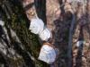 <img100*0:stuff/z/92105/5895/i1293347202_5.jpg>