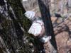<img100*0:stuff/z/92105/5895/i1293347202_6.jpg>