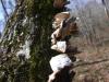<img100*0:stuff/z/92105/5895/i1293347203_10.jpg>