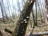 <img100*0:stuff/z/92105/5895/i1293347203_11.jpg>