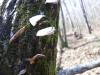 <img100*0:stuff/z/92105/5895/i1293347203_7.jpg>