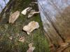 <img100*0:stuff/z/92105/5895/i1293347203_8.jpg>