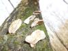 <img100*0:stuff/z/92105/5895/i1293347203_9.jpg>