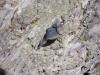 <img100*0:stuff/z/92105/5895/i1293348123_1.jpg>