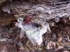 <img100*0:stuff/z/92105/5895/i1293348123_3.jpg>