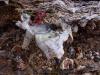 <img100*0:stuff/z/92105/5895/i1293348123_4.jpg>