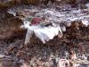 <img100*0:stuff/z/92105/5895/i1293348123_5.jpg>