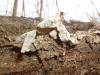 <img100*0:stuff/z/92105/5895/i1293348123_6.jpg>