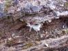 <img100*0:stuff/z/92105/5895/i1293348124_7.jpg>