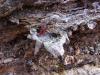 <img100*0:stuff/z/92105/5895/i1293348124_8.jpg>