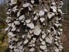 <img100*0:stuff/z/92105/5895/i1293349749_1.jpg>