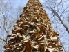 <img100*0:stuff/z/92105/5895/i1293349749_4.jpg>