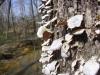 <img100*0:stuff/z/92105/5895/i1293349749_7.jpg>