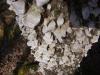 <img100*0:stuff/z/92105/5895/i1293349749_8.jpg>