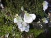 <img100*0:stuff/z/92105/5895/i1293349750_11.jpg>