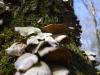 <img100*0:stuff/z/92105/5895/i1293349750_13.jpg>