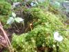 <img100*0:stuff/z/92105/5895/i1293435664_2.jpg>
