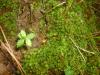 <img100*0:stuff/z/92105/5895/i1293435665_3.jpg>