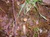 <img100*0:stuff/z/92105/5895/i1293435665_4.jpg>