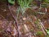 <img100*0:stuff/z/92105/5895/i1293435665_5.jpg>