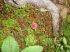 <img100*0:stuff/z/92105/5895/i1293435665_6.jpg>