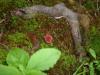 <img100*0:stuff/z/92105/5895/i1293435665_7.jpg>