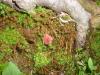 <img100*0:stuff/z/92105/5895/i1293435665_8.jpg>