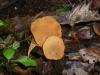 <img100*0:stuff/z/92105/5895/i1293442193_1.jpg>