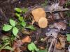 <img100*0:stuff/z/92105/5895/i1293442193_2.jpg>