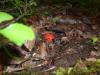 <img100*0:stuff/z/92105/5895/i1293442194_12.jpg>