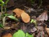 <img100*0:stuff/z/92105/5895/i1293442194_3.jpg>