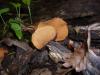 <img100*0:stuff/z/92105/5895/i1293442194_4.jpg>