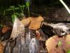 <img100*0:stuff/z/92105/5895/i1293442194_5.jpg>