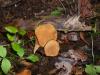 <img100*0:stuff/z/92105/5895/i1293442194_7.jpg>