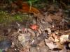 <img100*0:stuff/z/92105/5895/i1293442194_9.jpg>