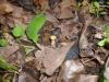 <img100*0:stuff/z/92105/5895/i1293442195_15.jpg>
