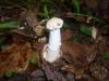 <img100*0:stuff/z/92105/5895/i1293474429_1.jpg>