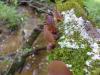 <img100*0:stuff/z/92105/5895/i1293474429_11.jpg>