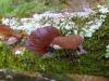 <img100*0:stuff/z/92105/5895/i1293474429_14.jpg>