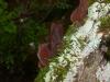 <img100*0:stuff/z/92105/5895/i1293474429_15.jpg>