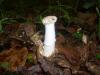 <img100*0:stuff/z/92105/5895/i1293474429_2.jpg>