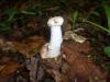 <img100*0:stuff/z/92105/5895/i1293474429_3.jpg>