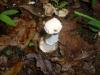 <img100*0:stuff/z/92105/5895/i1293474429_4.jpg>