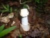 <img100*0:stuff/z/92105/5895/i1293474429_5.jpg>